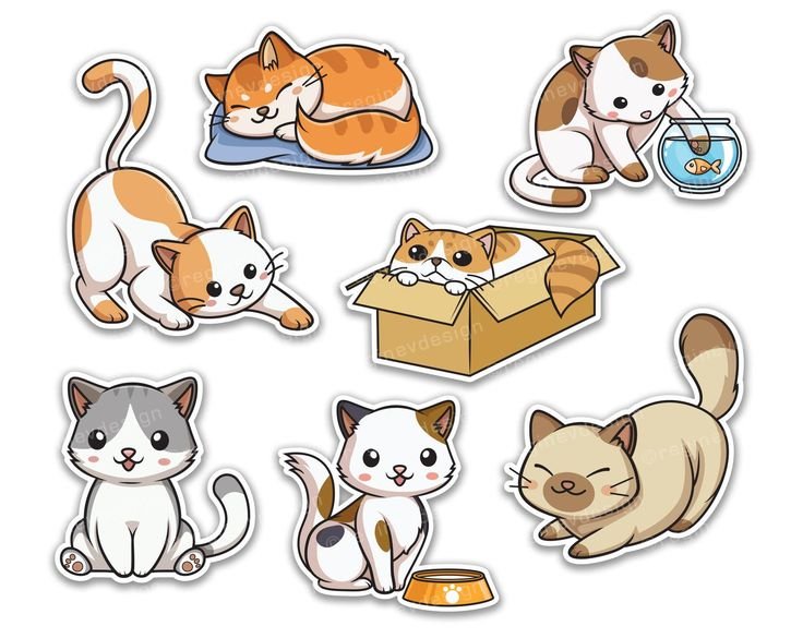 Наклейки котики