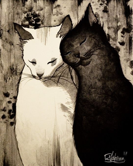 Кот и кошка арт