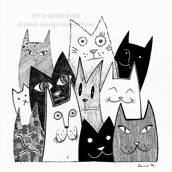 Котик в графике
