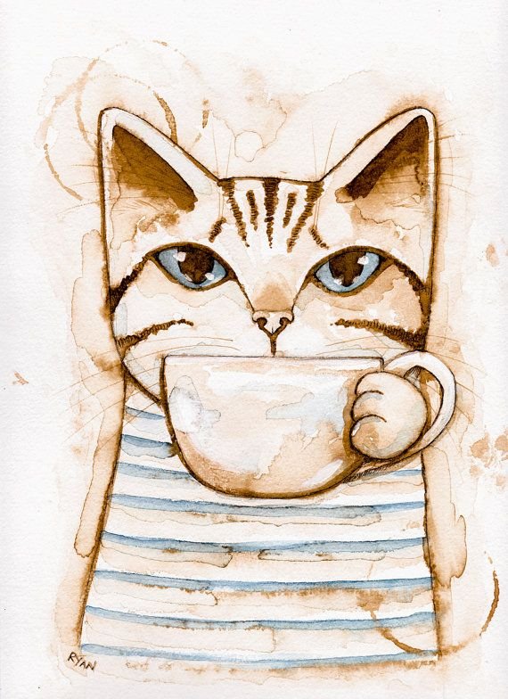 Рисунки котиков для срисовки