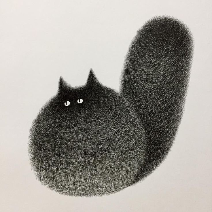 Камвей Фонг коты