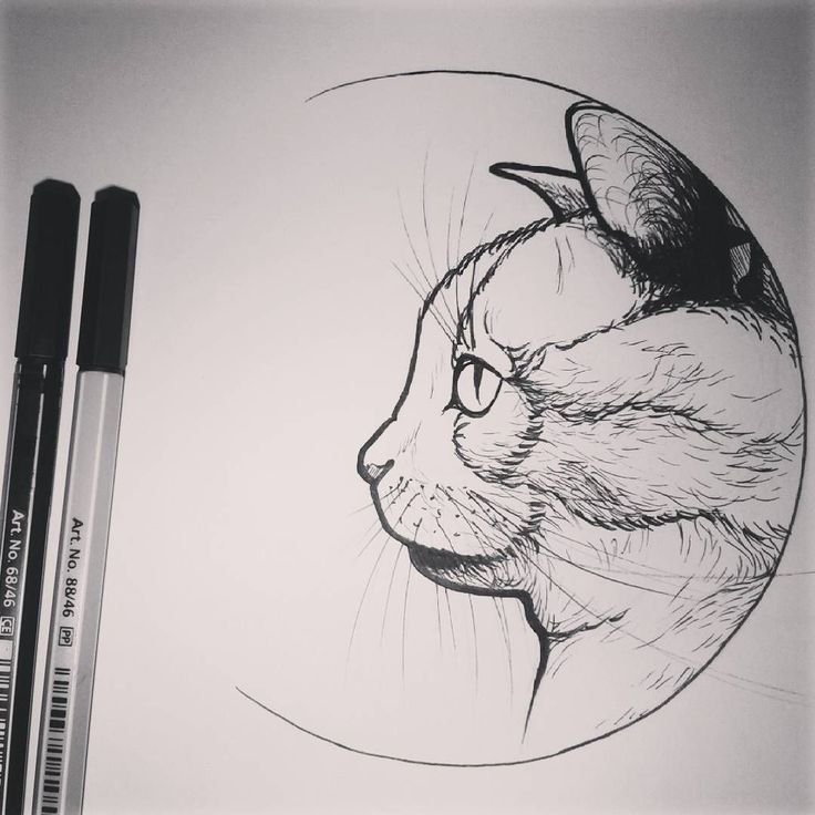 Тату котики эскизы