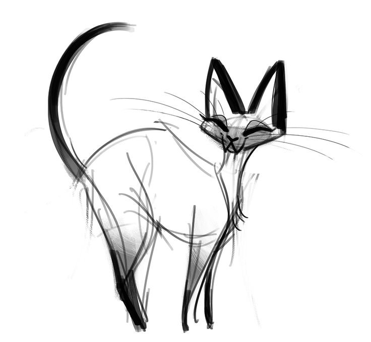 Кошка рисунок
