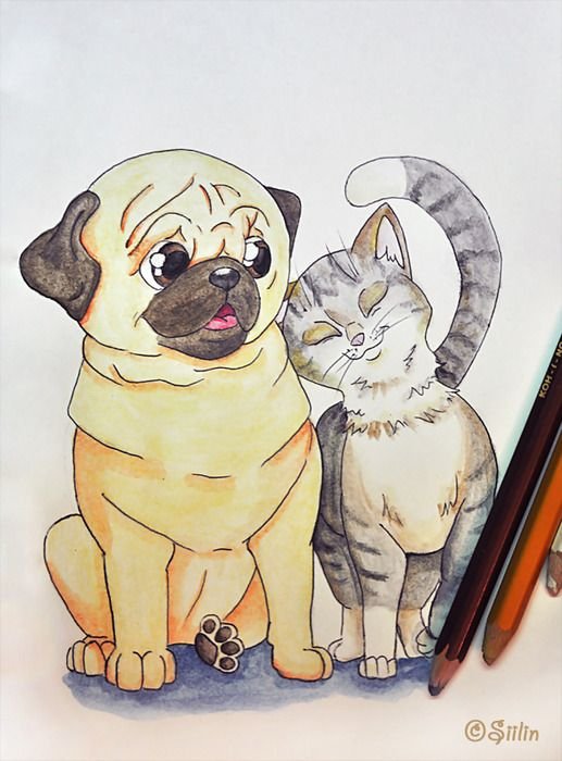 Мультяшные котики и собачки