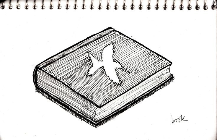 Книга рисунок