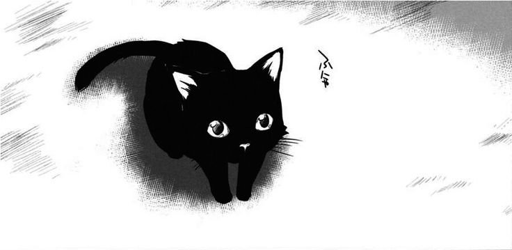 Черные коты аниме
