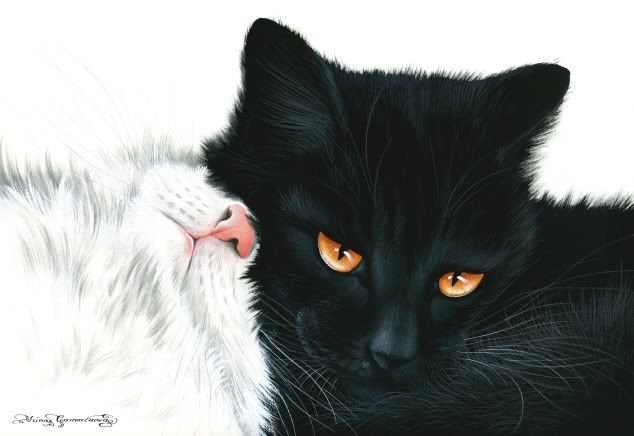 Черно белая кошка