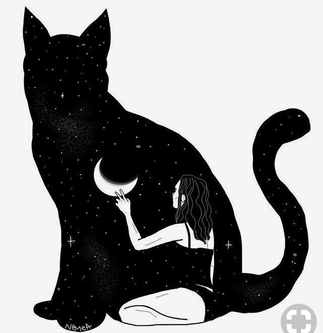 Кошка рисунок