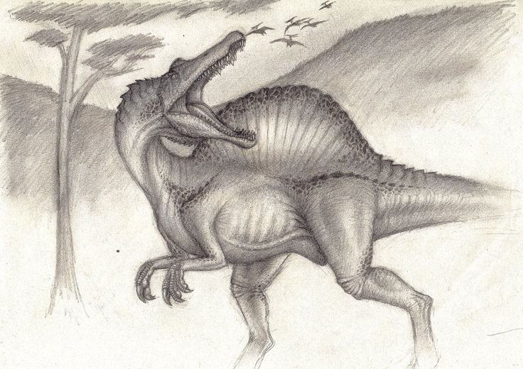 Spinosaurus maroccanus