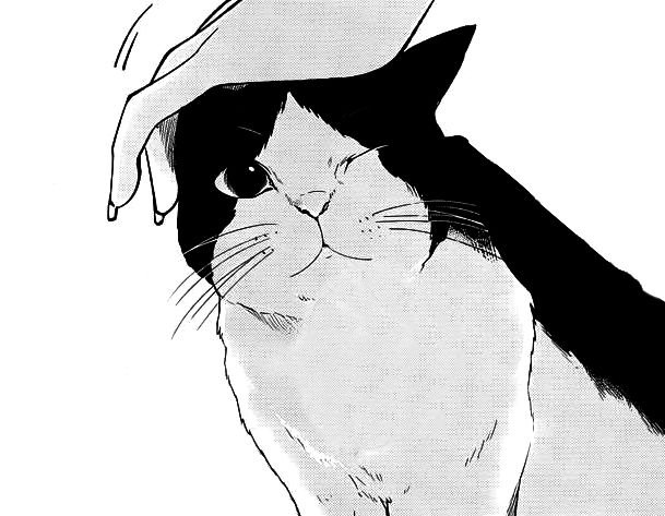 Котик арт
