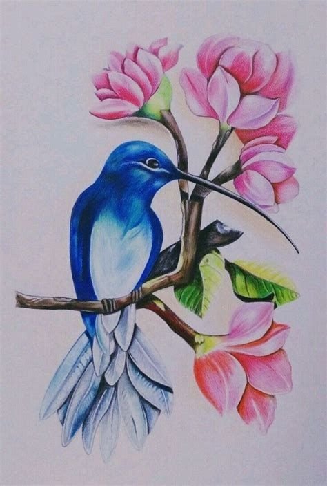 Рисование цветными карандашами