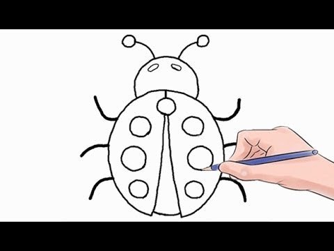 Поэтапное рисование Божьей коровки