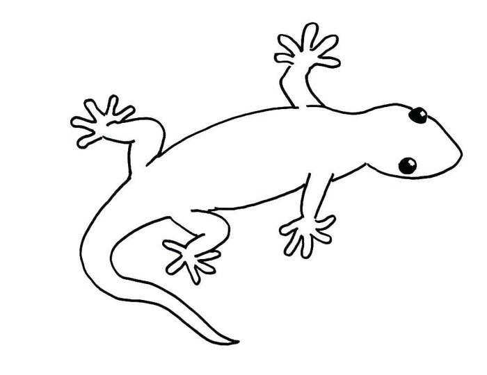 Ящерица рисунок