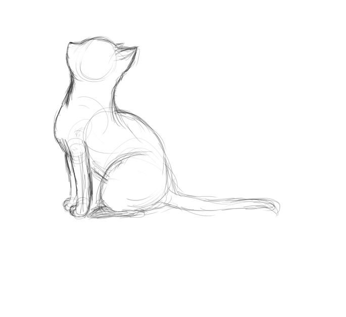 Кошка карандашом