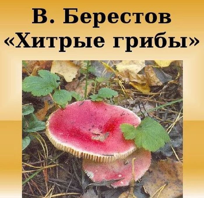 Берестов стихи хитрые грибы
