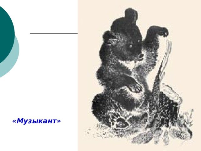 Медведь музыкант Бианки