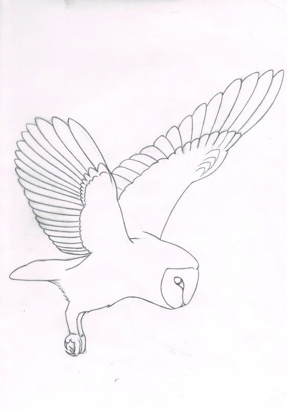 Лёгкий рисунок летящей Совы