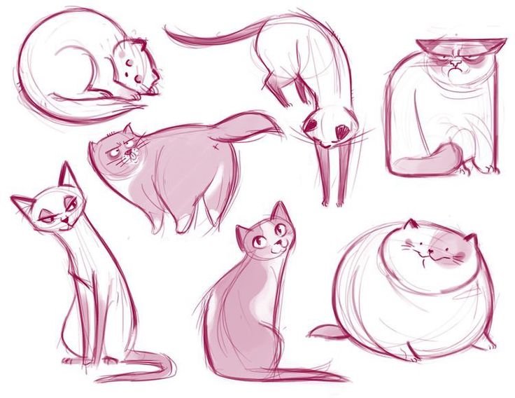 Котик скетч