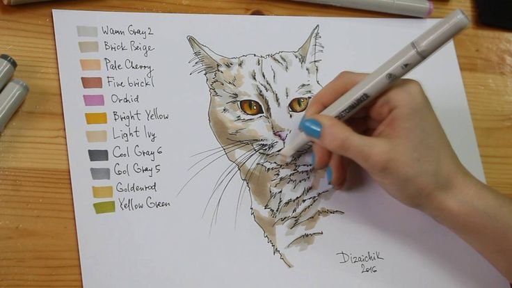 Кот маркерами