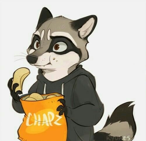 Енот аниме