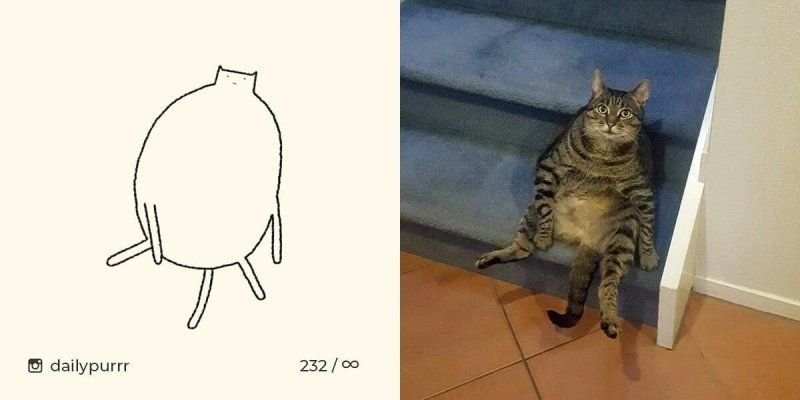 Упоротый кот нарисованный