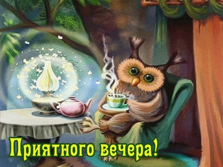 Добрый вечер смешные открытки