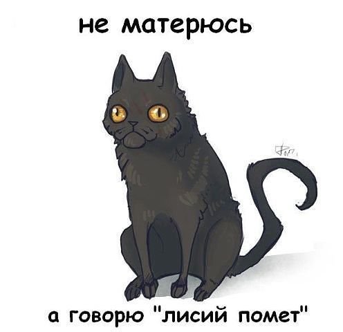 Упоротые коты Воители