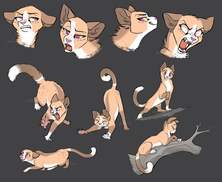 Коты Воители позы референс
