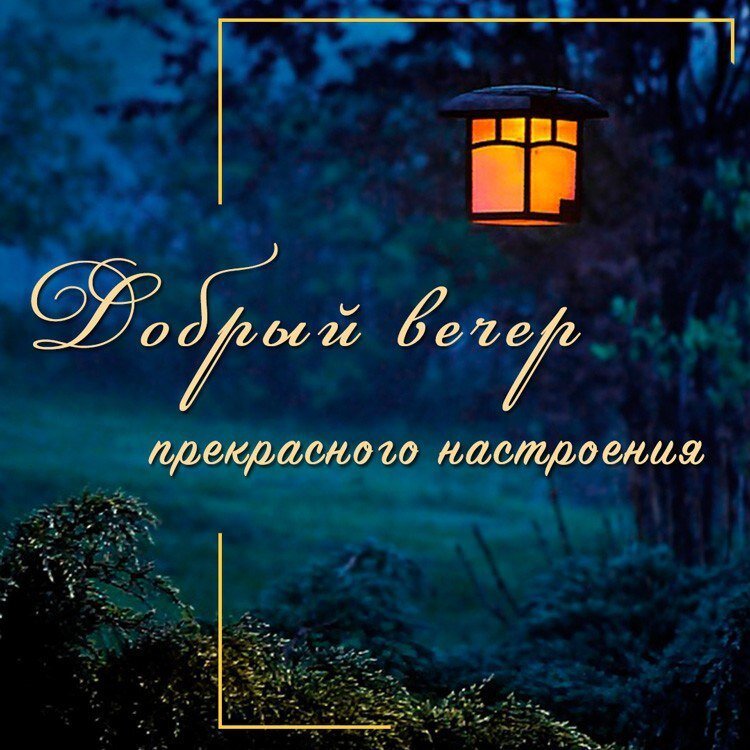 Хорошего вечерамужсине