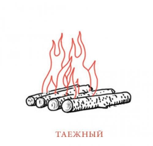 Типы костров Таежный