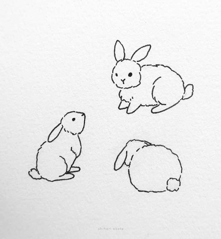 Sketch idea Bunny