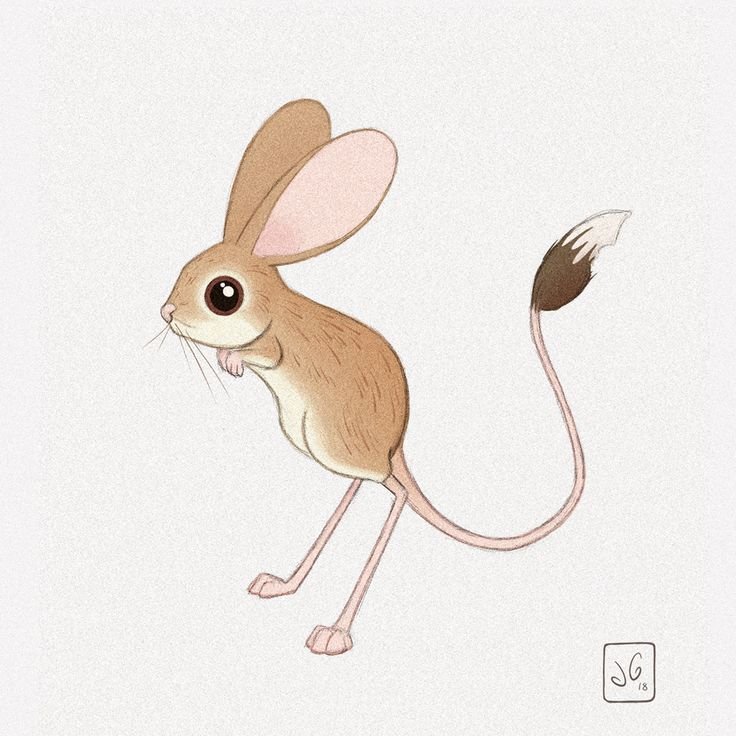 Тушканчик рисунок карандашом