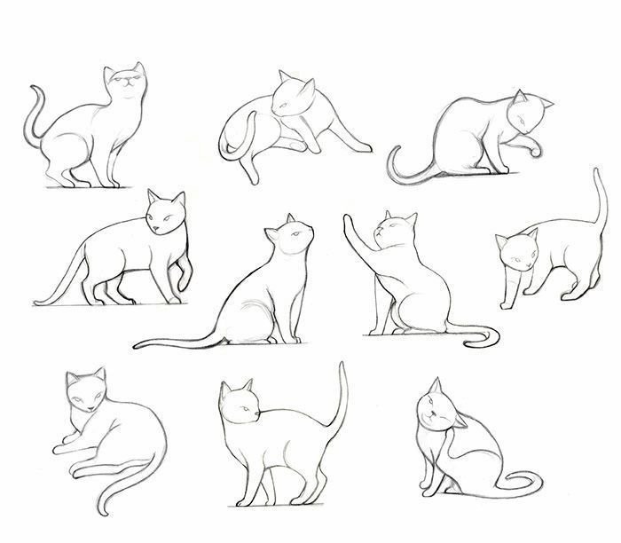 Кошка сбоку референс
