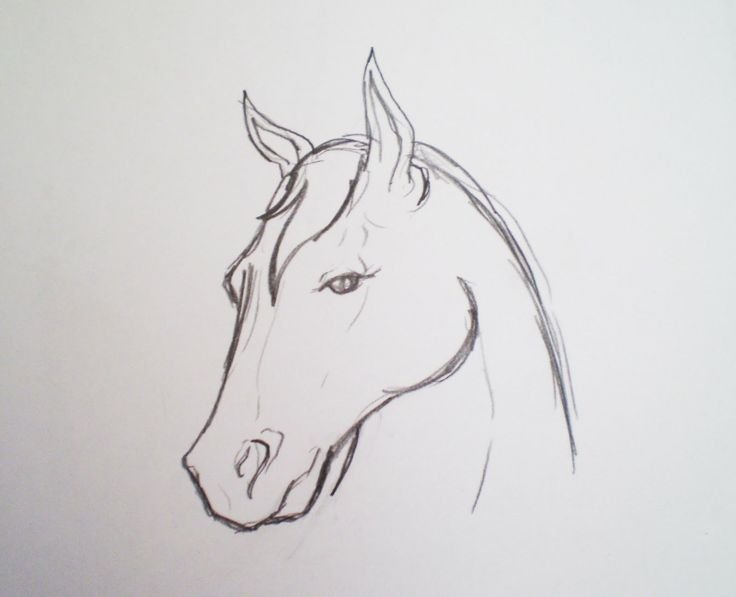 Лошадь рисунок карандашом