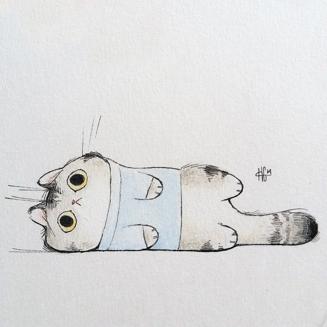 Котик рисунок
