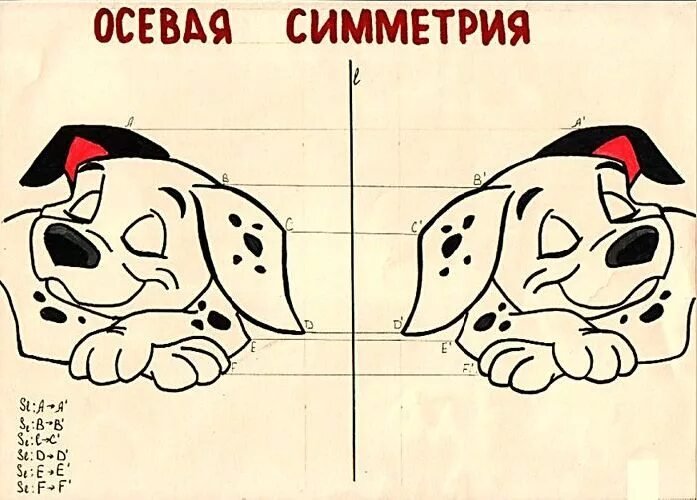 Осевая и Центральная симметрия