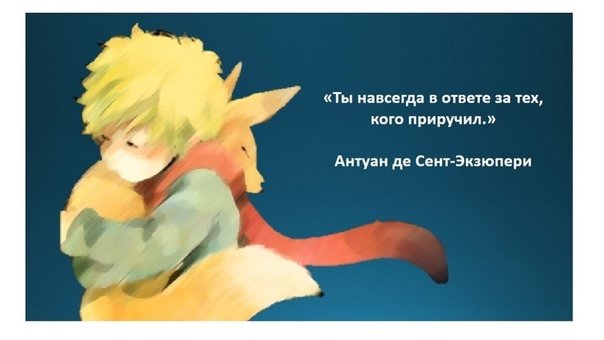 Мы в ответе за тех кого приручили маленький принц