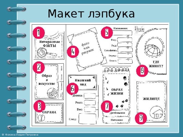 Лэпбук готовые шаблоны для распечатывания