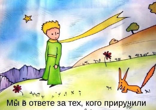 Мы в ответе за тех кого приручили Антуан де сент Экзюпери
