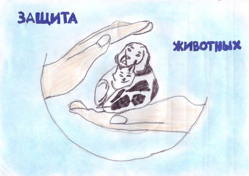 День защиты животных рисунок