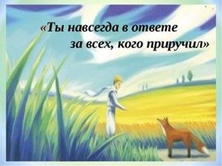 Маленький принц мы в ответе за тех