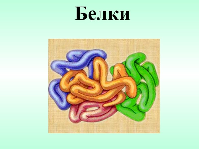 Иллюстрации белков