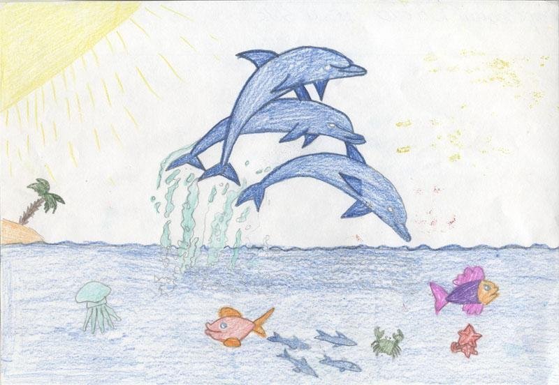 Черного моря легкие