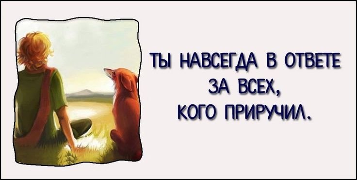 Ты в ответе за тех кого приручили