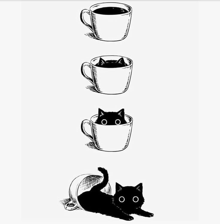 Котик рисунок