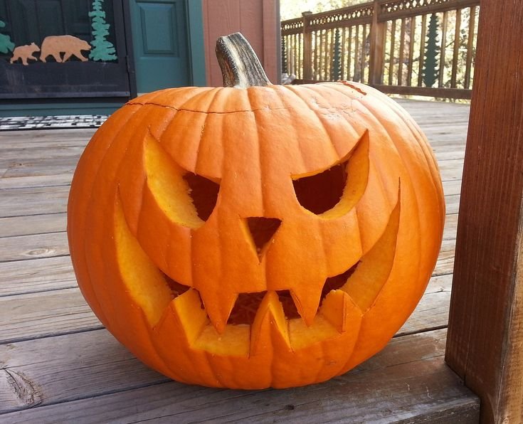 Сорт тыквы Jack o Lantern