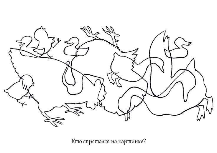 Домашние птицы задания для дошкольников