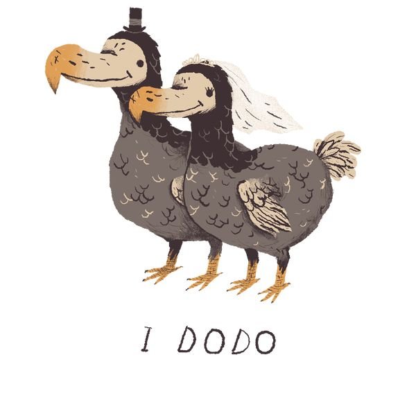 Додо рисунок