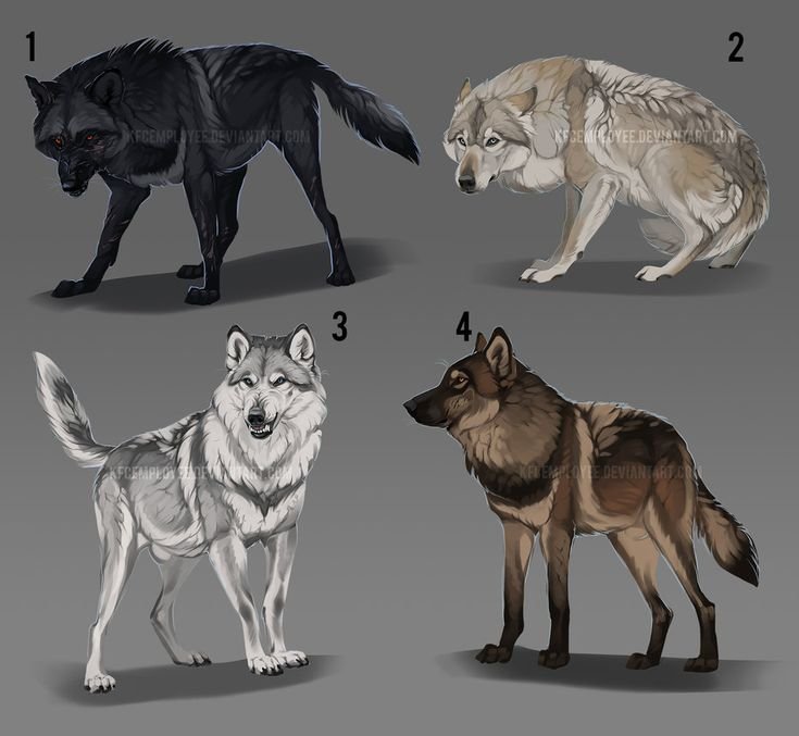 Референс Волков