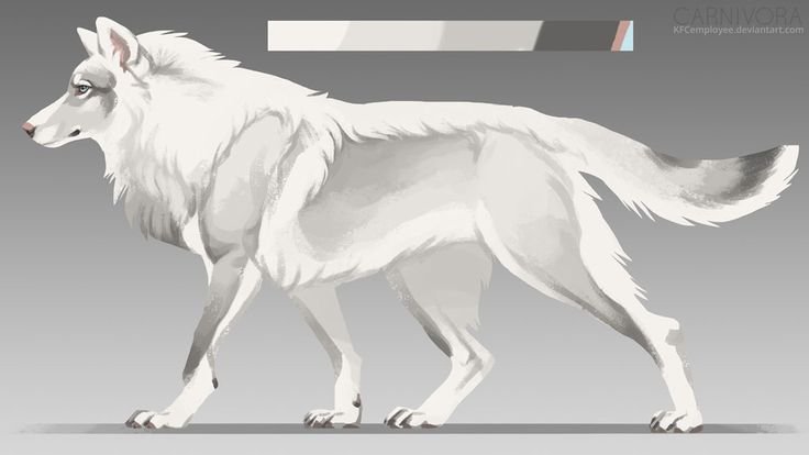 Американская овчарка лютоволк